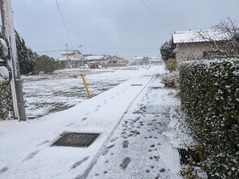 PXL_20211225_231433272