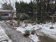 PXL_20240125_025312645