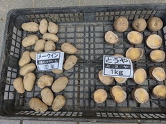 PXL_20220211_012725754