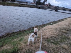 PXL_20231216_221456982.MP