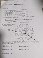 PXL_20240929_122501945