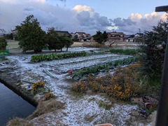 PXL_20260101_224235253.NIGHT