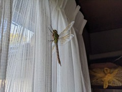 PXL_20230516_211444101