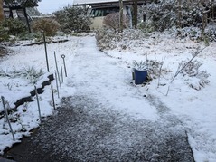 PXL_20211225_231243517.MP