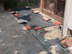 PXL_20250601_051929557