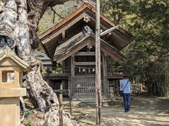 PXL_20230311_015237234.PORTRAIT