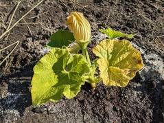 PXL_20230603_074156760