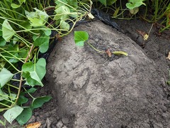 PXL_20230905_234529604