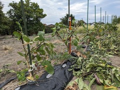 PXL_20230809_020114014