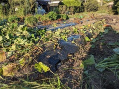 PXL_20240904_083006929