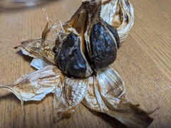 PXL_20240611_111832930.MP