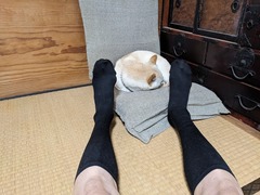 PXL_20241130_104602408