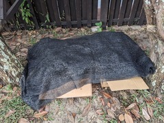 PXL_20230810_213103376