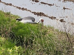 PXL_20240430_221113711