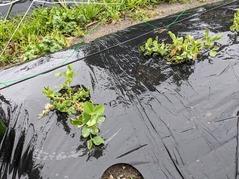 PXL_20230210_012003876