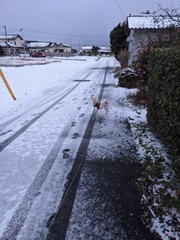 PXL_20240124_221436993