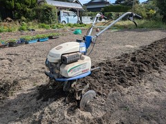 PXL_20251006_235801119