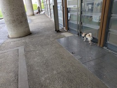 PXL_20250422_212134979