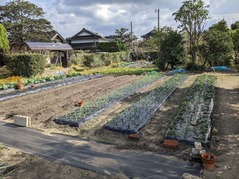 PXL_20211114_012842093.NIGHT