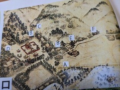 PXL_20230311_045401445