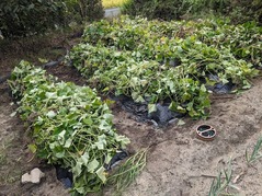 PXL_20240902_230909317