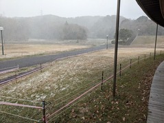 PXL_20221218_023759809