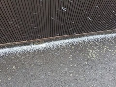 PXL_20221214_033122588