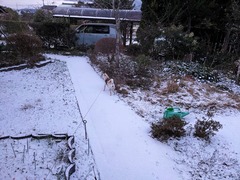 PXL_20240123_220712726