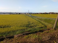 PXL_20250918_214719821