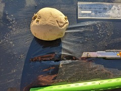 PXL_20230226_230700603