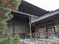 PXL_20241117_055221601