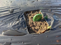 PXL_20221102_231952351