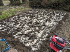 PXL_20240214_010451485