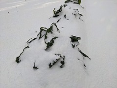 PXL_20230124_231544119