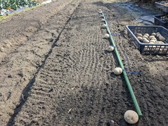 PXL_20220211_022524358.MP