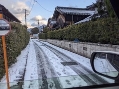 PXL_20230125_230314943