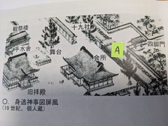 PXL_20230312_070645751 (1)