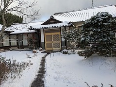 PXL_20230124_231201478