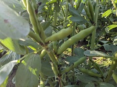 PXL_20220430_074701114