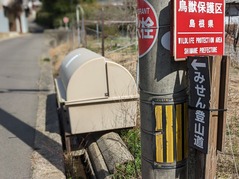 PXL_20230311_020857751.PORTRAIT