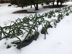 PXL_20230126_070133653