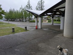 PXL_20250422_213928177