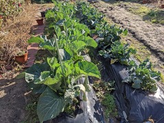 PXL_20220108_014358696.MP