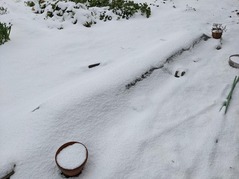 PXL_20211226_231605207.NIGHT