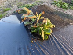 PXL_20230112_074810607