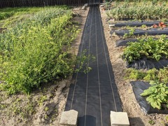 PXL_20210523_080020197