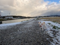 PXL_20260102_071813273