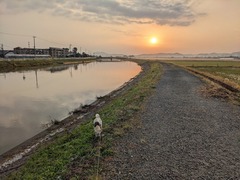 PXL_20231026_215439016