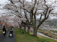 PXL_20260401_014950872.PORTRAIT.ORIGINAL