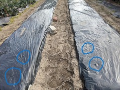 PXL_20220228_022149030